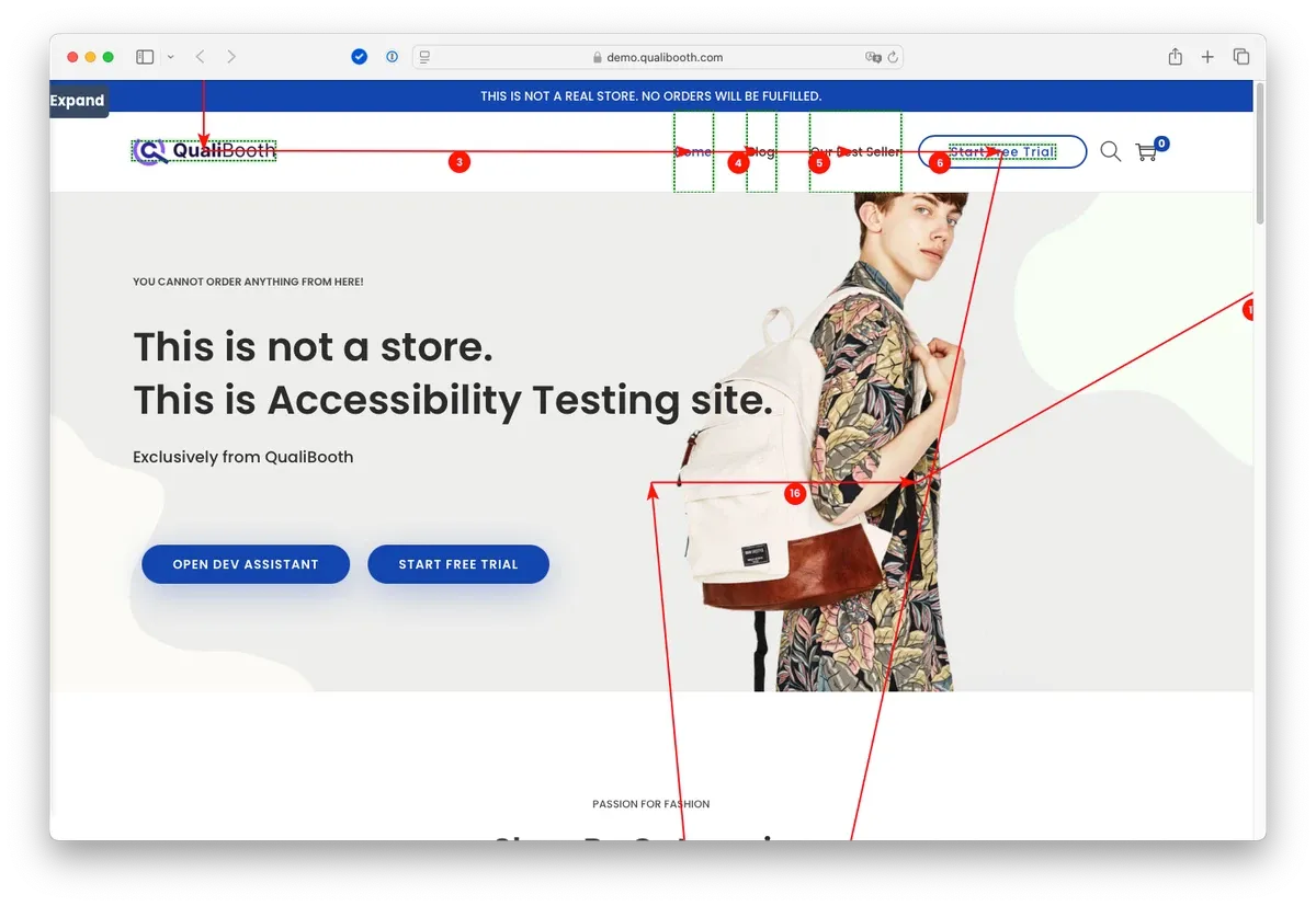 A screenshot of the Solutions Assistant with a visual representation of the screen reader path through the page.