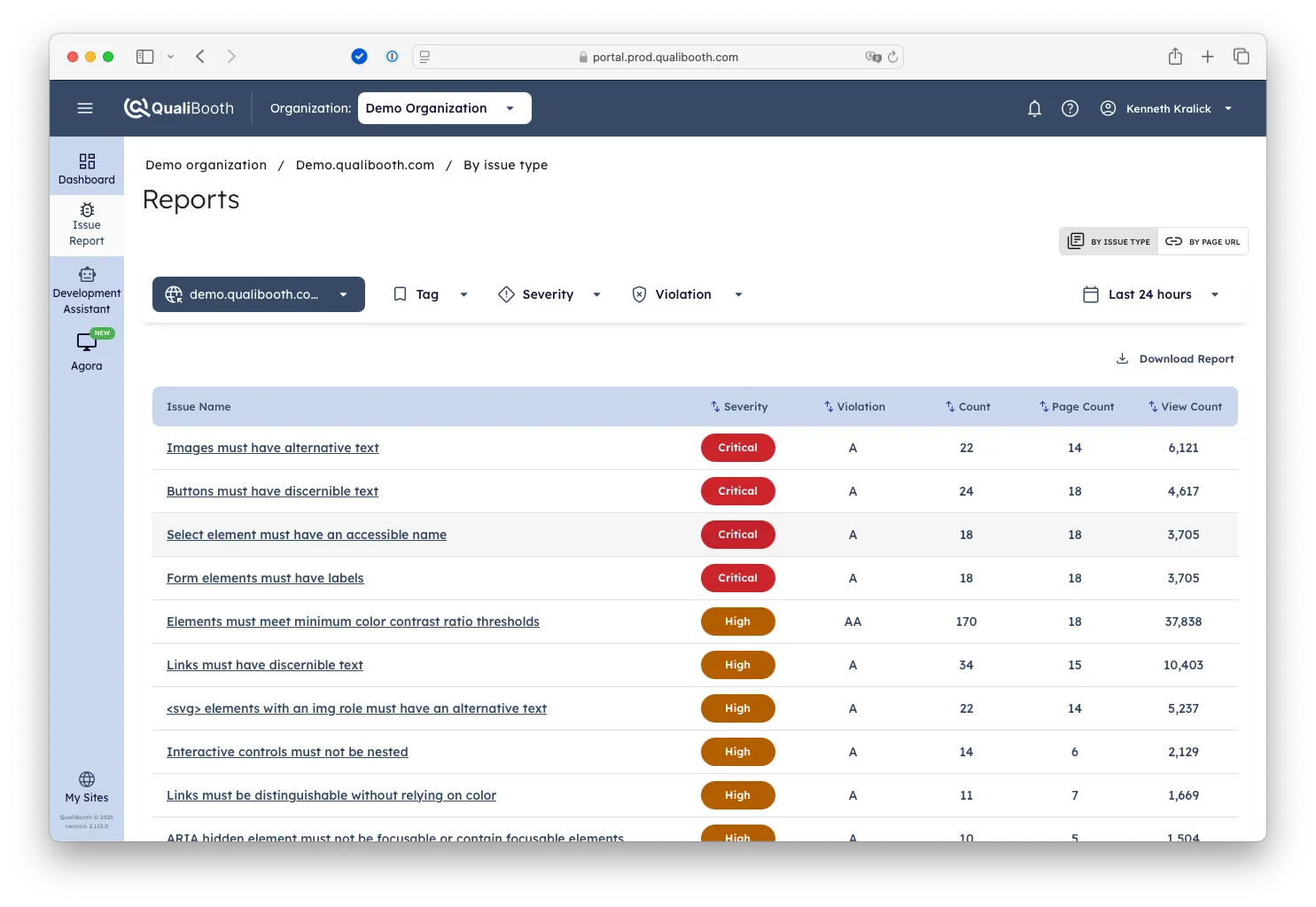A screenshot of the reports within accessibility toolkit showing the reports view by Issue.