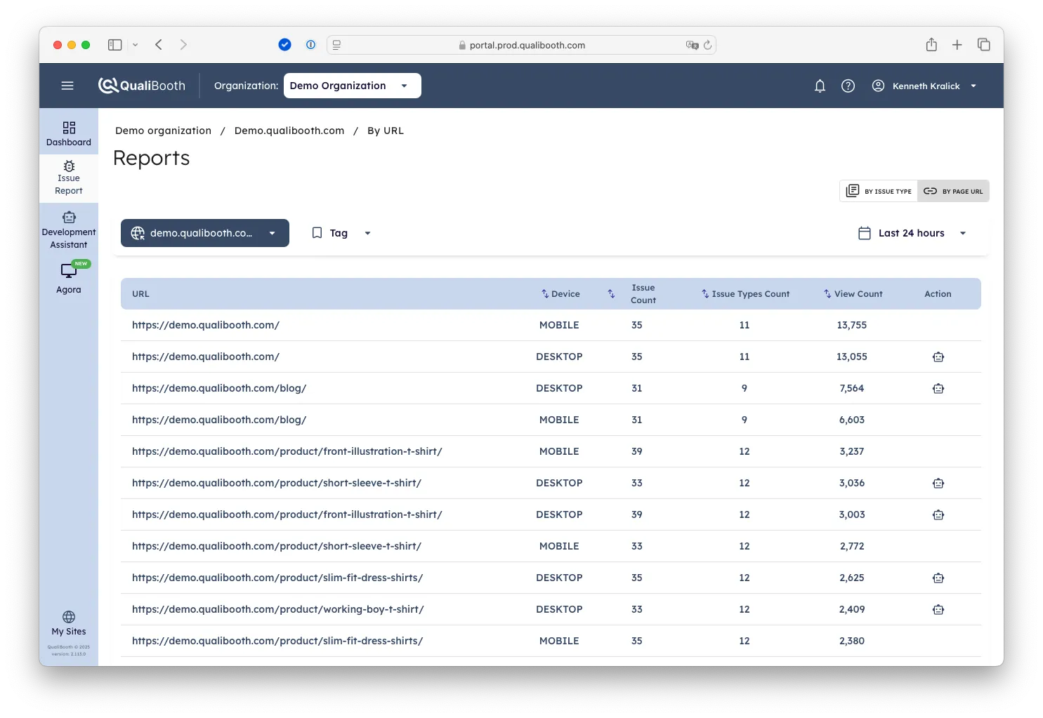 Screenshot of the accessibility Reports within the Toolkit showing the report by URL.